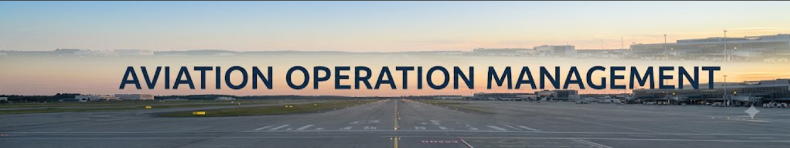 Aviation Management